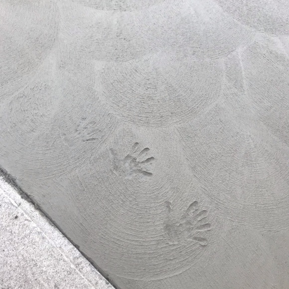 Meet your Posher, Nagham - Picture 1 of 1